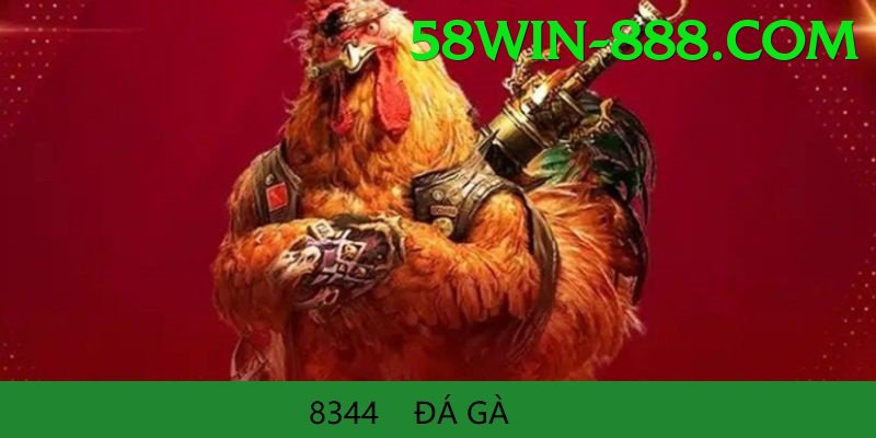 Đá Gà Trực Tiếp - Trải nghiệm tuyệt vời