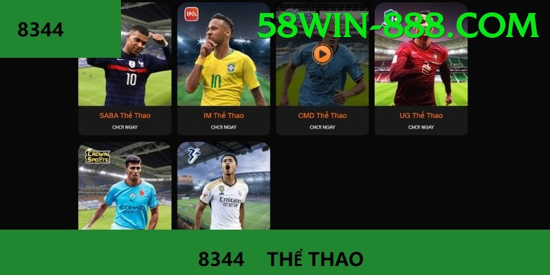 Cá Cược Thể Thao - 58win